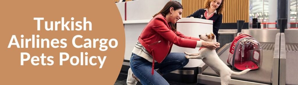 AirPolicyGuide-Turkish Airlines Cargo Pets Policy