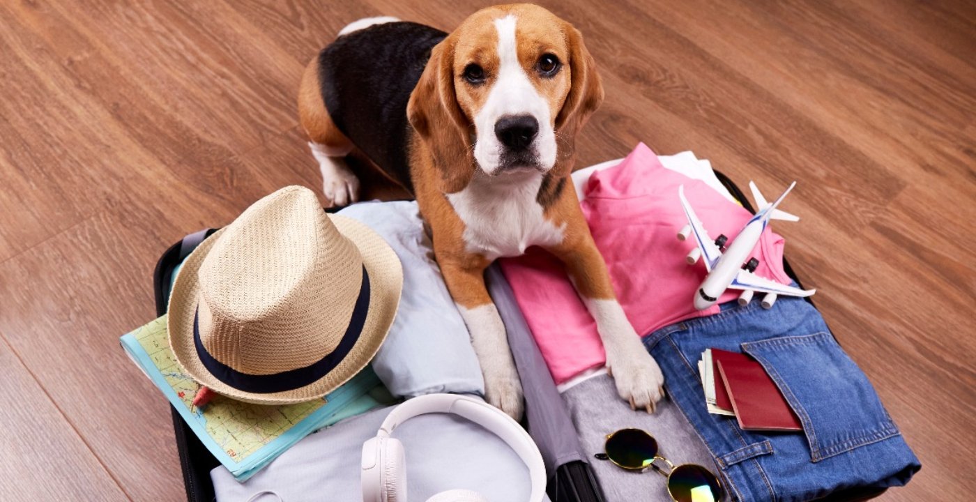 United Airlines Pet Policy