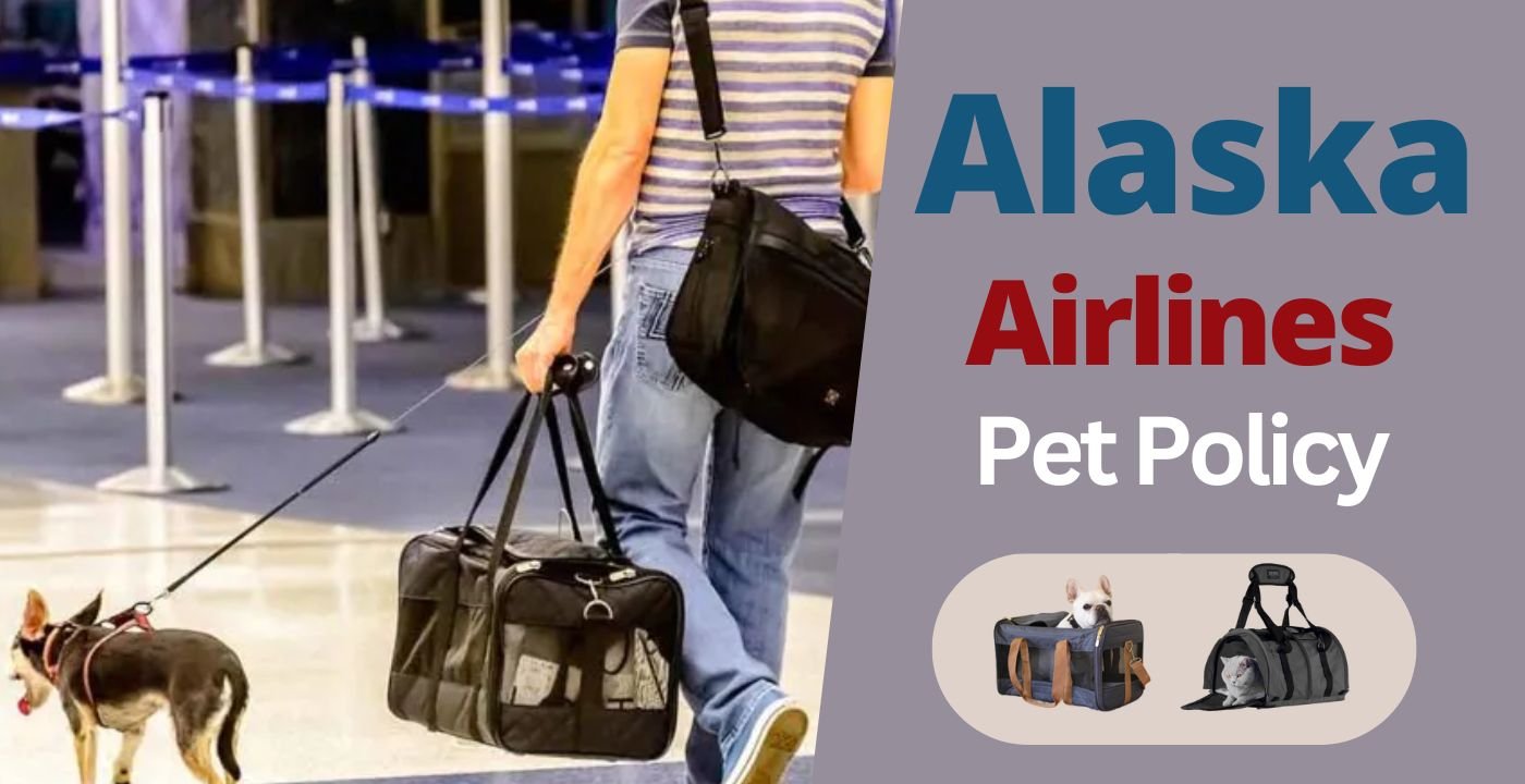 Alaska Airlines Pet Policy