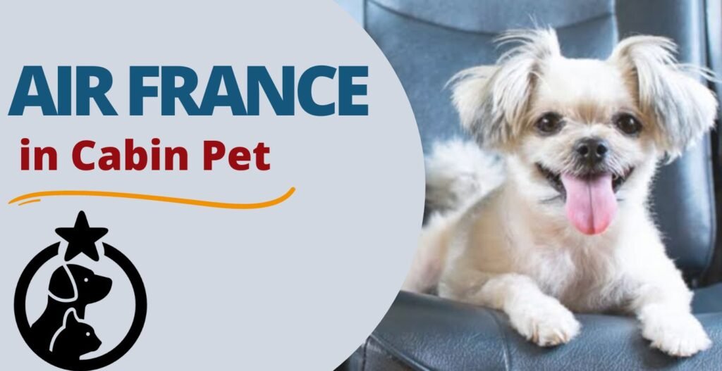 AirPolicyGuide-air france in cabin pet policy