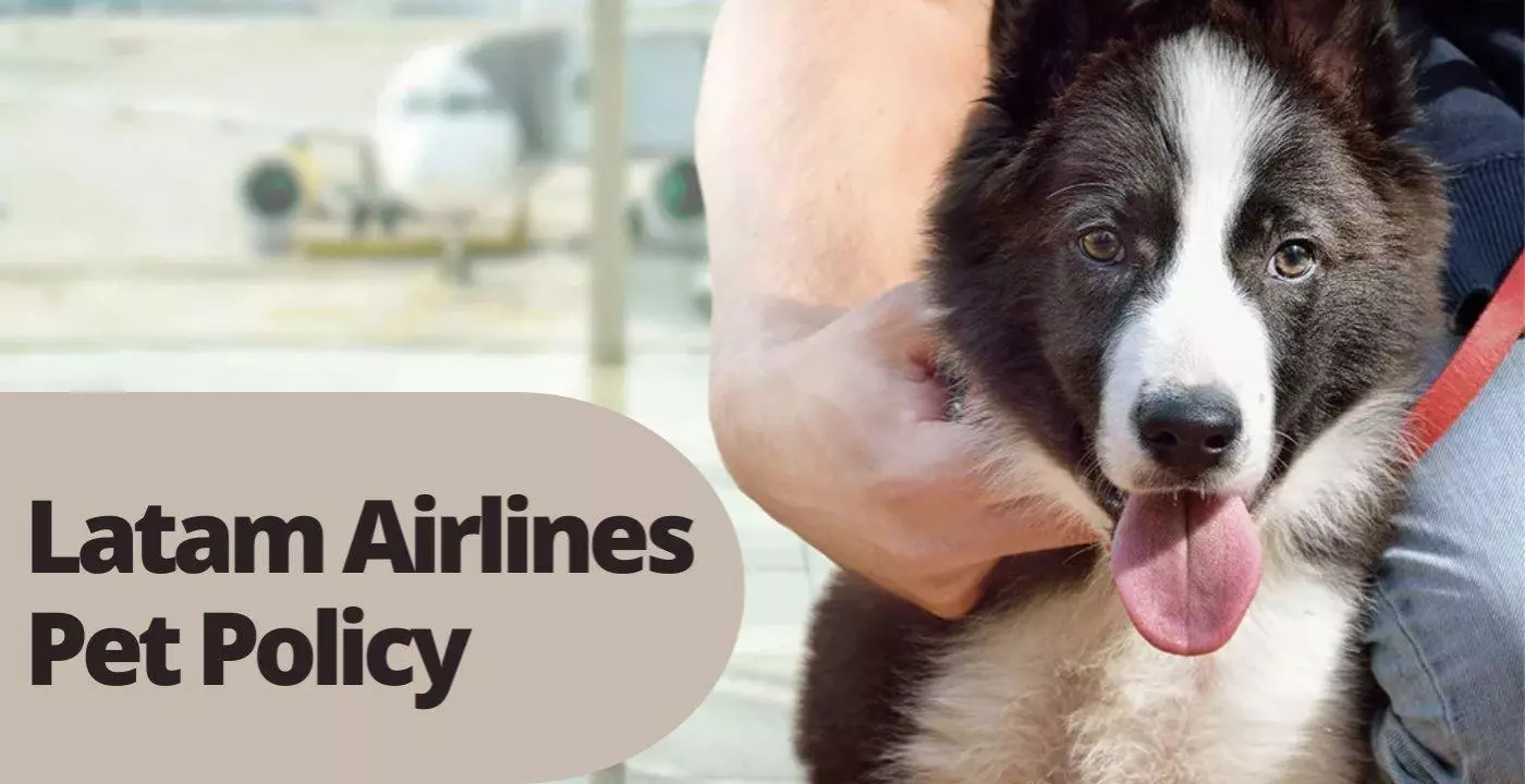 LATAM Airlines Pet Policy