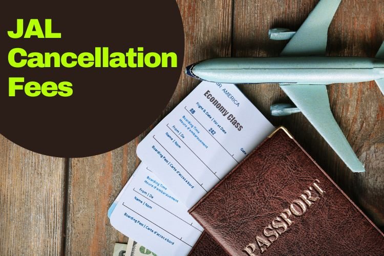 Image of japan airlines cancellation fee international